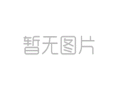 艺术与梦想的青春盛宴——上海建桥学院“我爱临”2024届优秀毕业设计展在滴