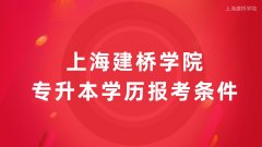 上海建桥学院成人专升本高等教育学历报考条件是什么