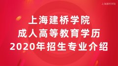 上海建桥学院成人专升本高等教育学历2020年招生专业介绍